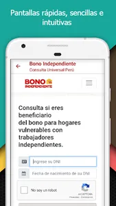 Consulta Universal Perú Bonos screenshot 3