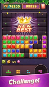 Block Puzzle Gem: Jewel Blast screenshot 12