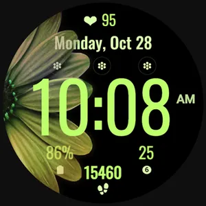Daisy Simple Watchface screenshot 37