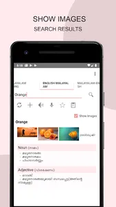 BlueLeaf Malayalam Dictionary  screenshot 19