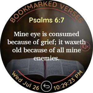 Bible (Young's Literal) screenshot 5