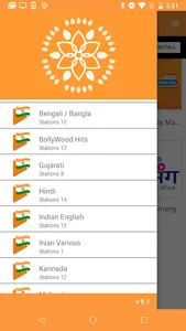 Indian Desi RADIO Stations & P screenshot 3