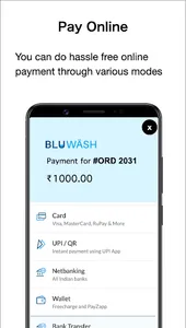 Bluwash screenshot 6