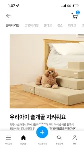 블루이29 screenshot 12
