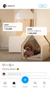 블루이29 screenshot 4
