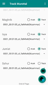 Auto Murottal screenshot 7