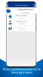 COFISA screenshot 3