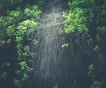 Bali Wallpapers screenshot 10