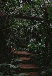 Bali Wallpapers screenshot 8