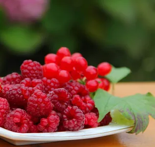 Cherry Wallpapers HD screenshot 15