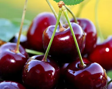 Cherry Wallpapers HD screenshot 3