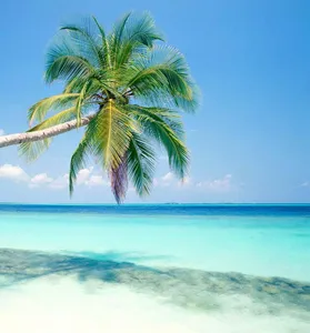 Fiji Wallpapers screenshot 9