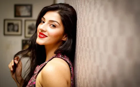 Mehreen Pirzada Wallpapers HD  screenshot 12