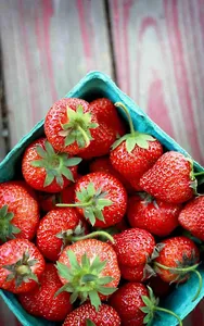 Strawberry Wallpapers HD screenshot 4
