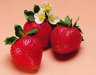 Strawberry Wallpapers HD screenshot 6