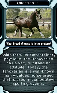 My Horse & Pony Breeds Quiz HD screenshot 2