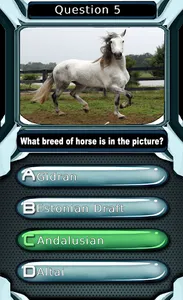 My Horse & Pony Breeds Quiz HD screenshot 3