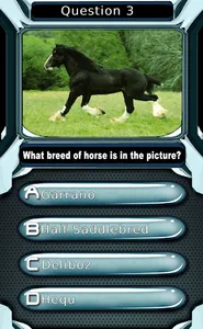 My Horse & Pony Breeds Quiz HD screenshot 6