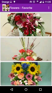 1000 flower arrangements screenshot 5