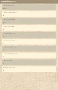 Bolsa Maestros CV screenshot 12