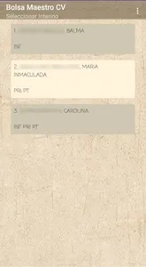 Bolsa Maestros CV screenshot 3