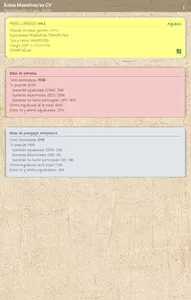 Bolsa Maestros CV screenshot 7