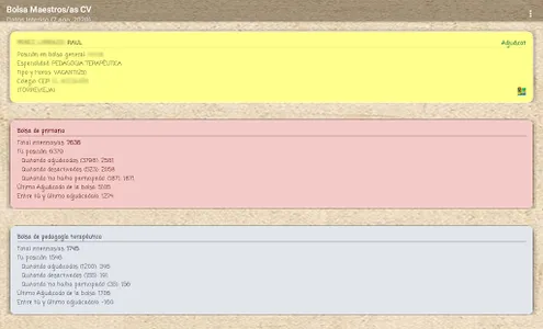Bolsa Maestros CV screenshot 8