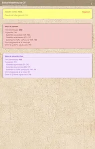 Bolsa Maestros CV screenshot 9