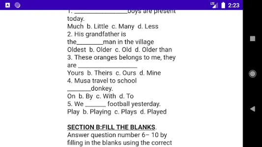 STANDARD FOUR ENGLISH PAST PAP screenshot 4