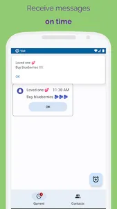 Vist: Messages & Reminders screenshot 2