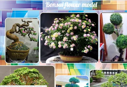 Bonsai flower model screenshot 0