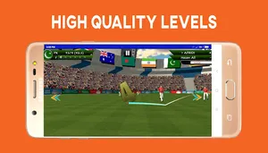 Boom Boom Afridi Cricket Game screenshot 3