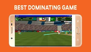 Boom Boom Afridi Cricket Game screenshot 4