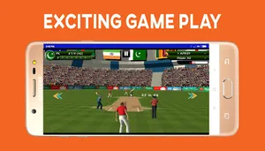 Boom Boom Afridi Cricket Game screenshot 5