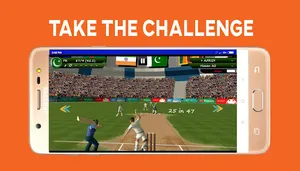 Boom Boom Afridi Cricket Game screenshot 7