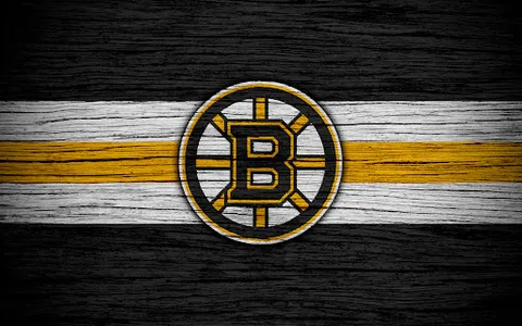 Boston Bruins Wallpapers FANS screenshot 0