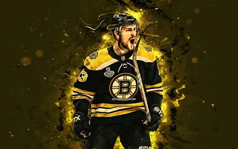 Boston Bruins Wallpapers FANS screenshot 12