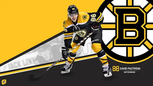Boston Bruins Wallpapers FANS screenshot 7