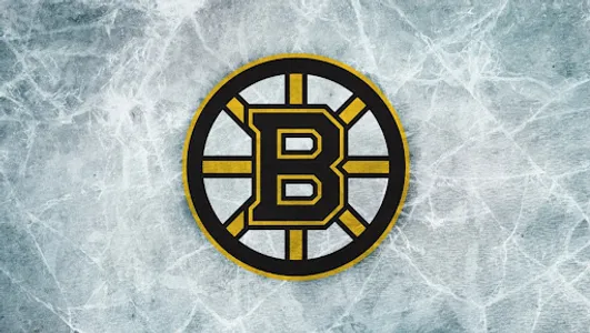 Boston Bruins Wallpapers FANS screenshot 8