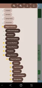 Key vascular plants screenshot 1