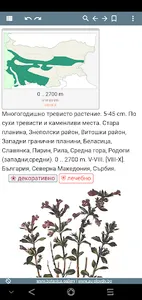 Key vascular plants screenshot 3