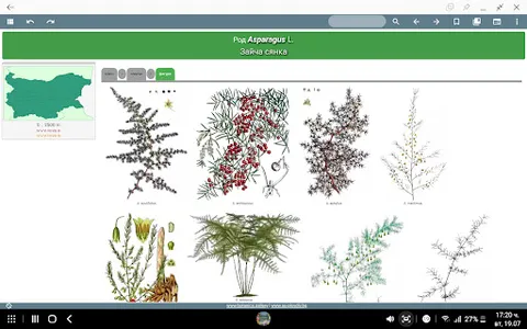 Key vascular plants screenshot 5