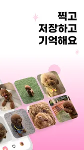 말랑 (mallang) screenshot 1