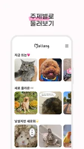 말랑 (mallang) screenshot 4