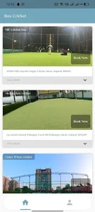 Box Cricket screenshot 0
