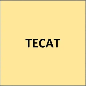 TECAT screenshot 2
