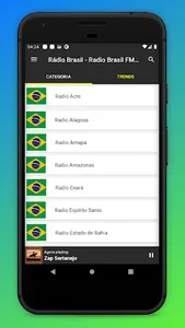Radio Brasil - Radio Brazil FM screenshot 0