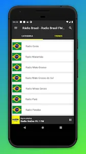 Radio Brasil - Radio Brazil FM screenshot 9