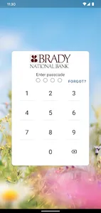 TheBradyBank screenshot 1