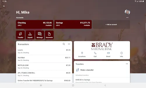 TheBradyBank screenshot 4